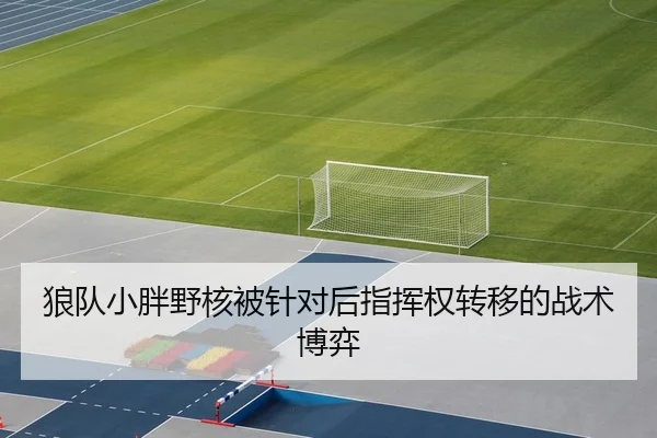 狼队小胖野核被针对后指挥权转移的战术博弈